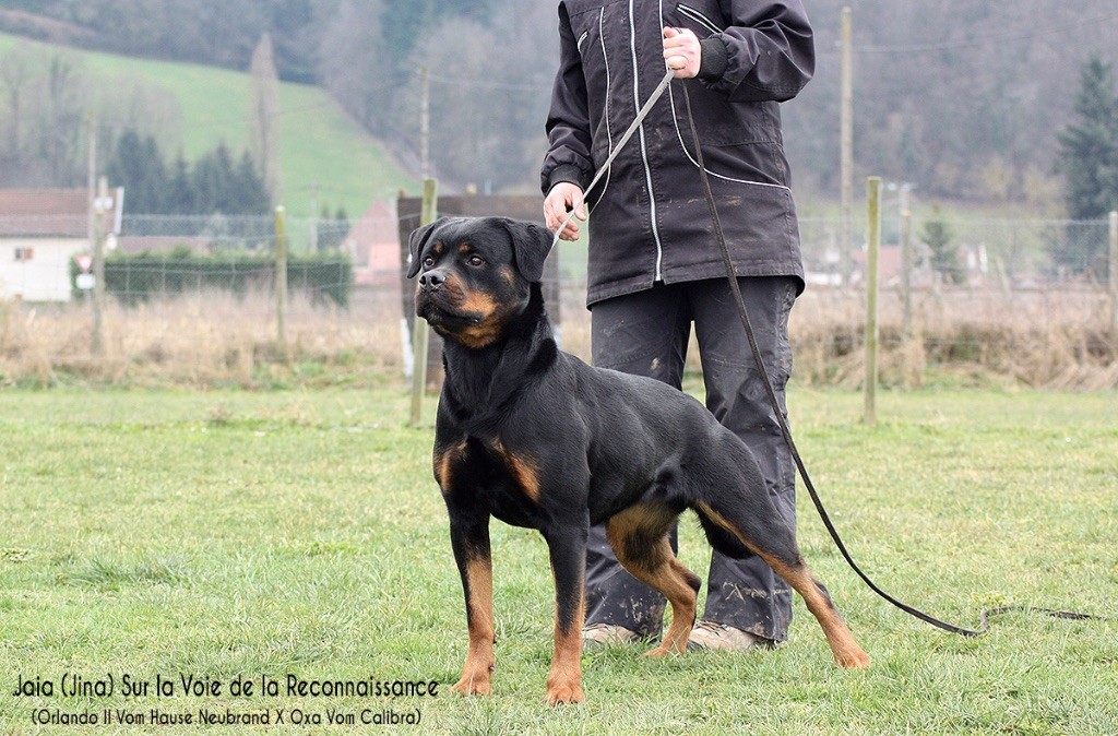 JaÏa Sur La Voie De La Reconnaissance